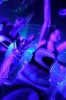 Energy Rave Sunshine Live Special am 15.05.2005 - img_5832.jpg (Thumbnail) - eimage.de - Event Fotos 